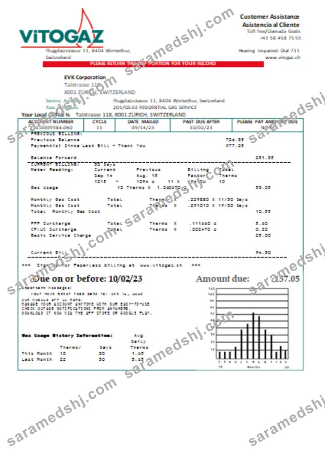 Vitogaz Switzerland AG utility business bill SCR